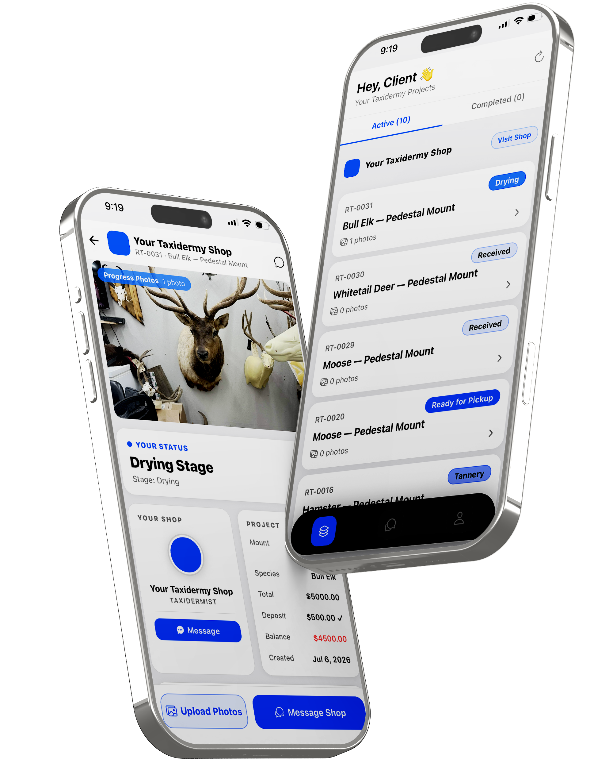 Customer-facing project portal